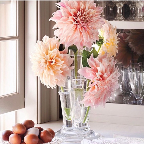 Welcome - Picture 5 of 16